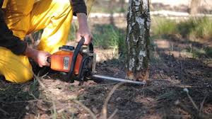 Best Aeration Services  in Lake Los Angeles, CA